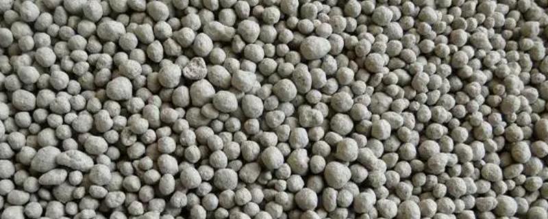 镁对农作物的作用