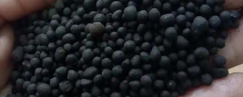 菌肥的正确施用方法