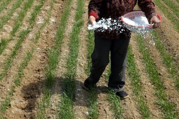 菌肥的正确施用方法,土壤湿度达到60%使用效果更好