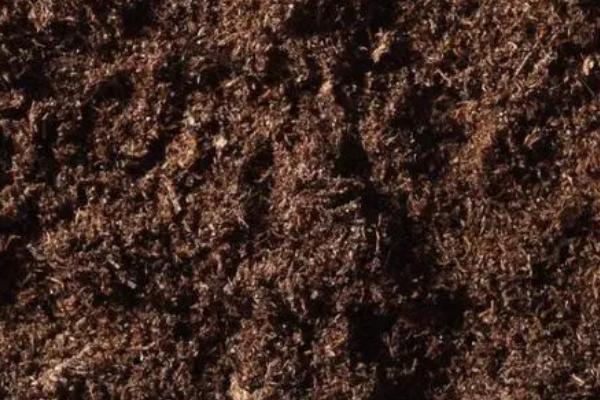 怎么辨别土壤肥力高低,保水保肥保温能力的好坏直接决定土壤肥力