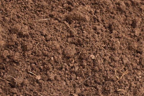 怎么辨别土壤肥力高低,保水保肥保温能力的好坏直接决定土壤肥力