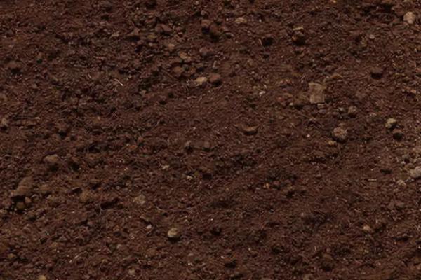 怎么辨别土壤肥力高低,保水保肥保温能力的好坏直接决定土壤肥力