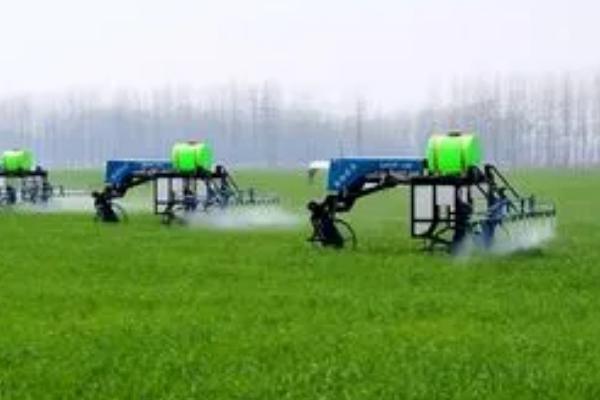 烟嘧磺隆的防治对象,防除一年生和多年生禾本科杂草