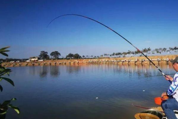 五六月份能钓鲤鱼吗,需要掌握技巧才能钓到