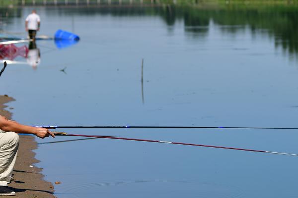 初夏钓鲤鱼选什么位置,入水口是首选钓位