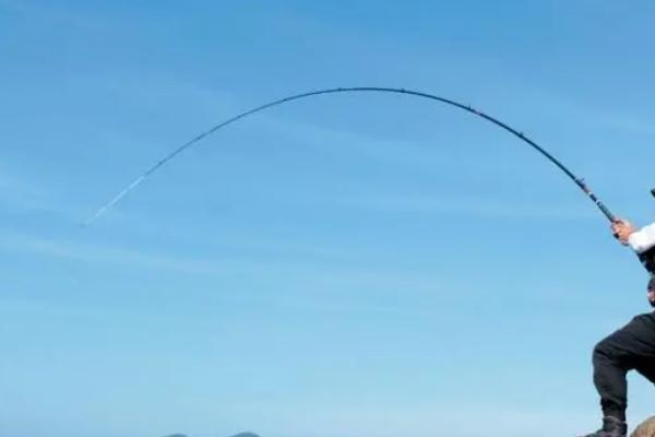 初夏钓鲤鱼选什么位置,入水口是首选钓位