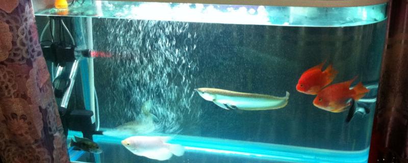 鱼缸水位不平有危险吗