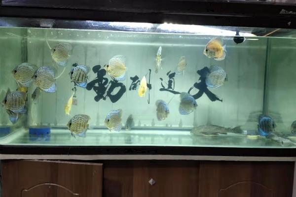 鱼缸水位不平有危险吗,可能会导致爆缸