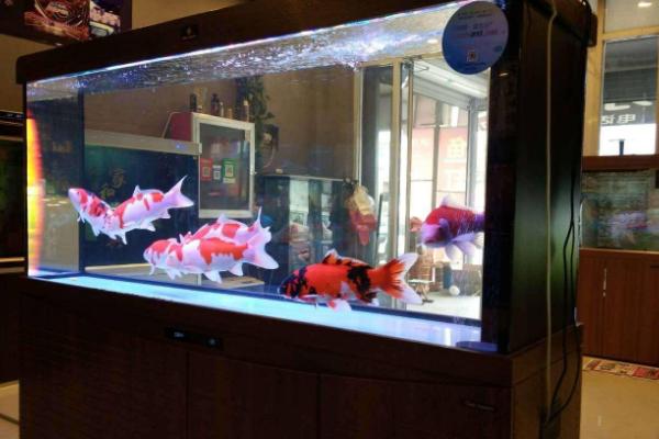 鱼缸水位不平有危险吗,可能会导致爆缸