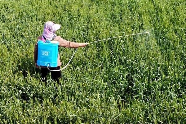 螺螨酯有什么特点,可防治有害螨类