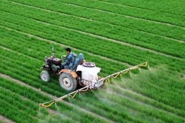 使用高钾水溶肥的好处,可提升光合效率、活化作物体内的酶