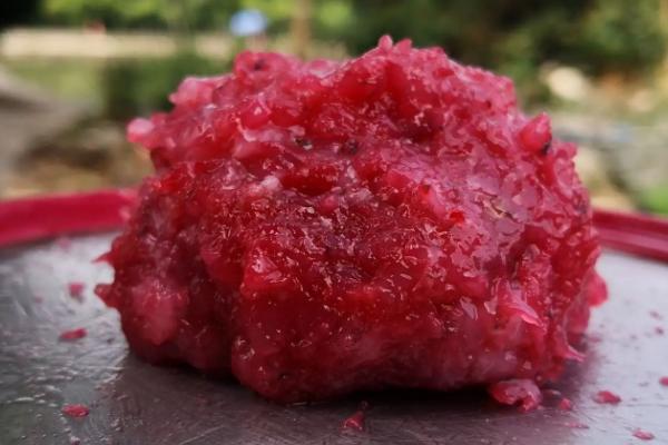 团头鲂的垂钓方法,钓前打窝效果会更好