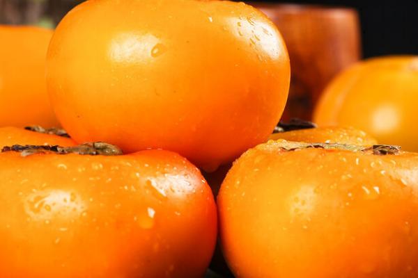 猫吃了老鼠药如何处理,可立即送往宠物医院进行催吐