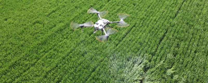 劣质农药的危害