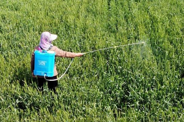 劣质农药的危害,可能导致农作物减产、破坏生态环境