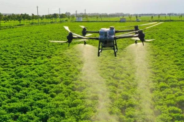 劣质农药的危害,可能导致农作物减产、破坏生态环境