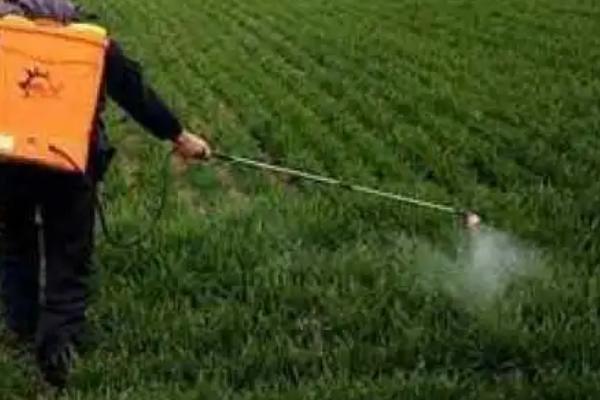 劣质农药的危害,可能导致农作物减产、破坏生态环境