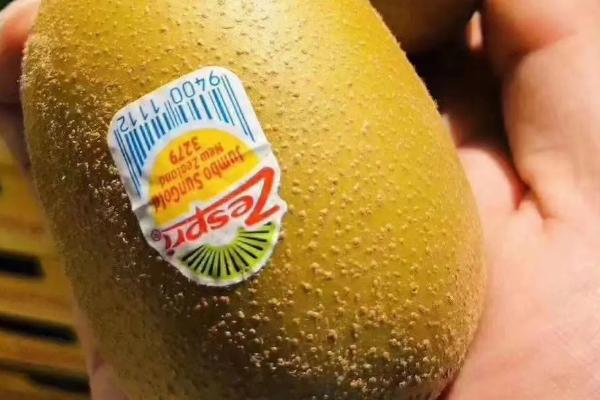 奇异果和猕猴桃有什么区别,奇异果表面较光滑、猕猴桃表面较粗糙