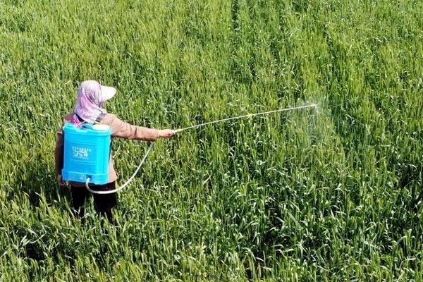 三氟羧草醚的适用对象,适合在大豆田中使用