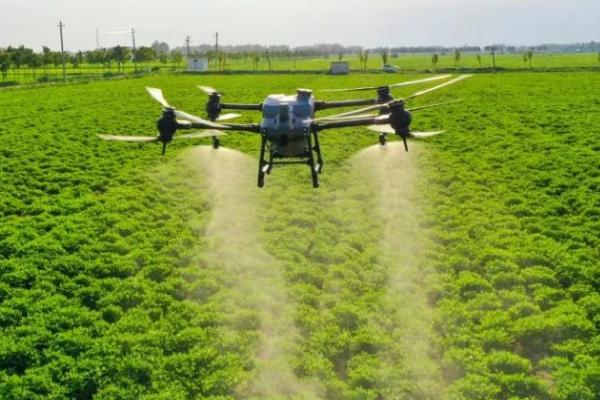 三氟羧草醚的适用对象,适合在大豆田中使用