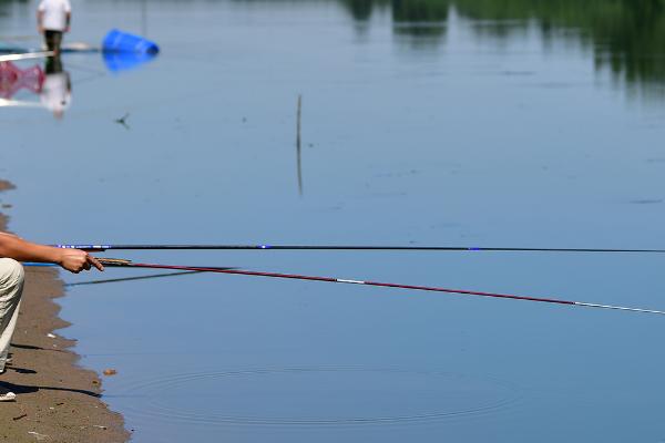 夏季钓鱼是否需要驱蚊,做好驱蚊措施可避免影响垂钓过程