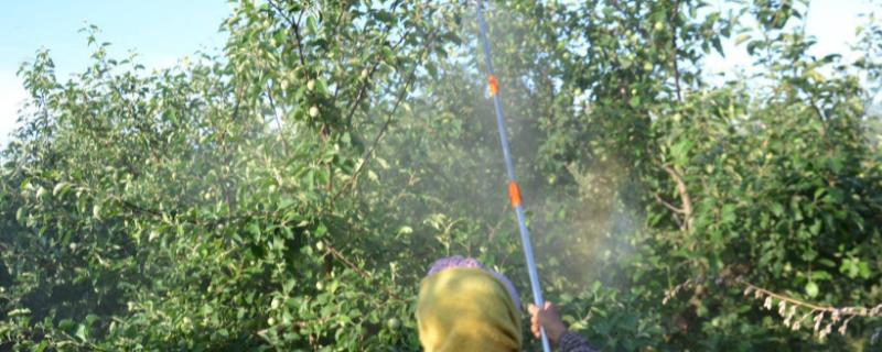 丁硫克百威的作用