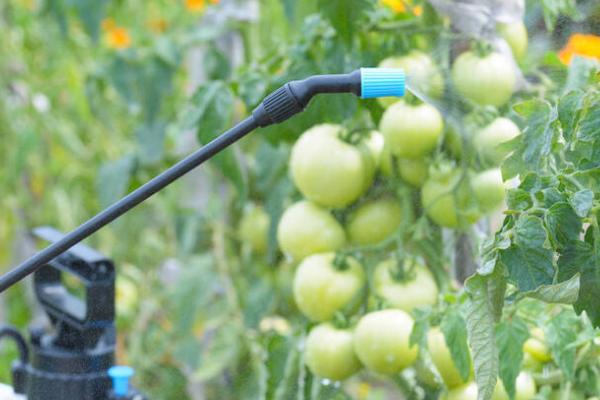 丁硫克百威的作用,可防治蔬菜、果树、粮食等作物上面的多种害虫