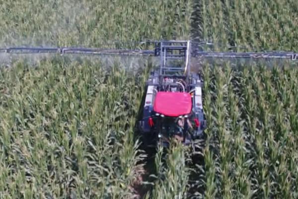 丁硫克百威的作用,可防治蔬菜、果树、粮食等作物上面的多种害虫