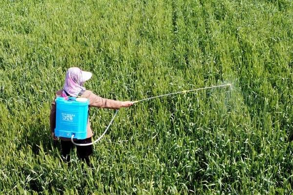 农药使用注意事项,田间施药注意防护