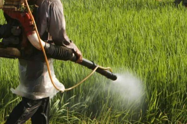农药使用注意事项,田间施药注意防护