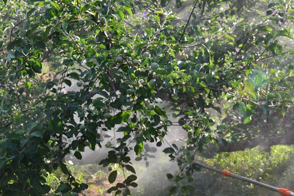 农药使用注意事项,田间施药注意防护