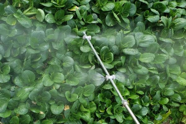 农药使用注意事项,田间施药注意防护