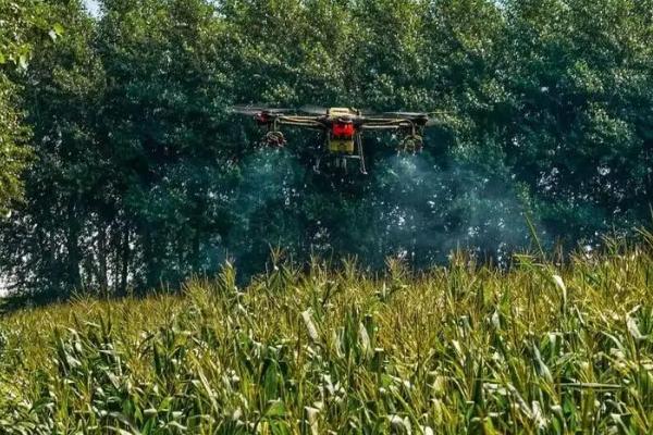 玉米粘虫的发生规律,二代粘虫发生盛期为7月份、三代粘虫发生盛期为8月份