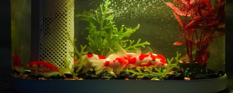 小鱼缸如何安装增氧泵