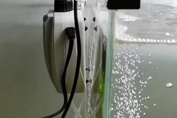 小鱼缸如何安装增氧泵,将氧气泵放在高处、出气口置于水中即可