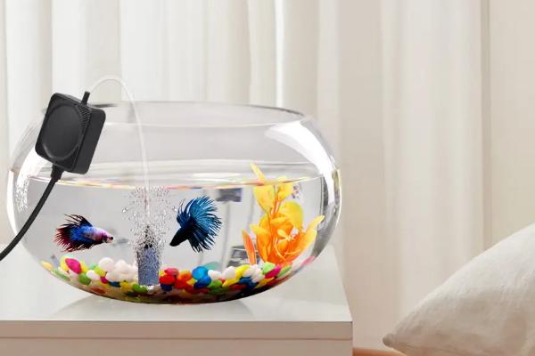 小鱼缸如何安装增氧泵,将氧气泵放在高处、出气口置于水中即可