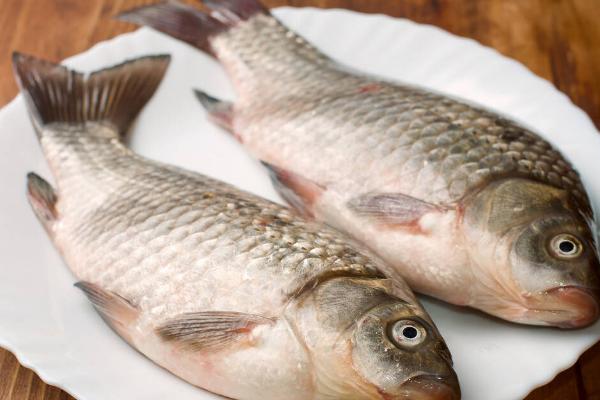 鲫鱼可以长到什么程度,成年后可长到0.3-2斤左右