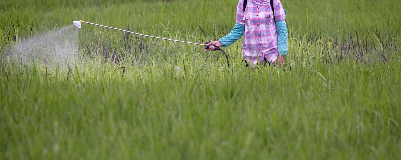 农药溅入眼中的应急措施