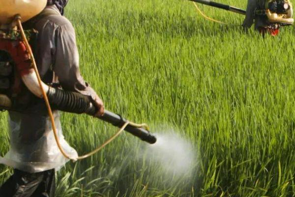 农药溅入眼中的应急措施,及时用大量清水冲洗再去医院检查