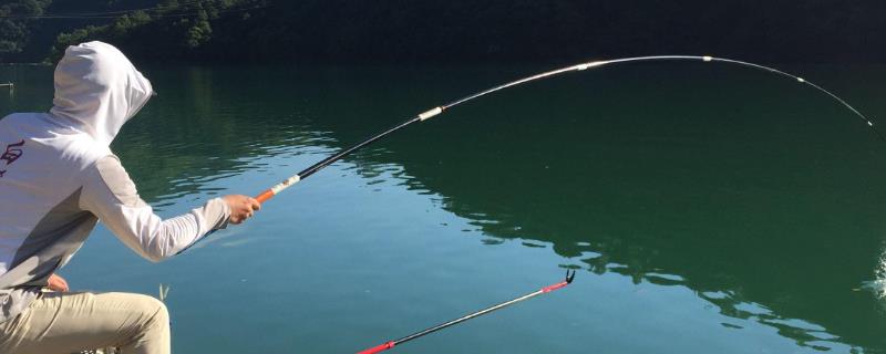 爆炸钩可以钓鲢鱼吗