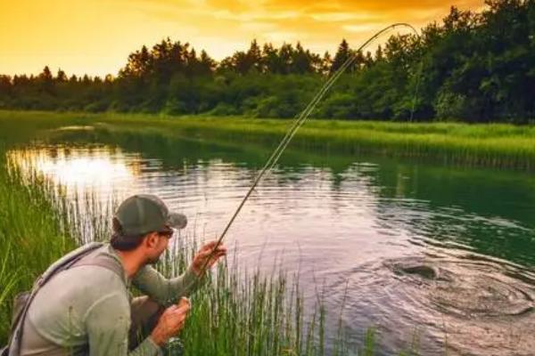 爆炸钩可以钓鲢鱼吗,通常可以钓体型大的鲢鱼