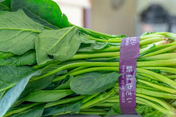 菠菜能不能用冰箱保存,剔除坏叶后即可放入冰箱