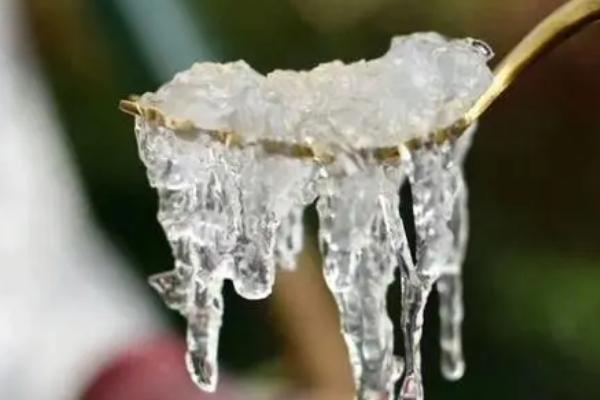 干燕窝怎么食用,浸泡后撕成细条、待炖熟后再食用