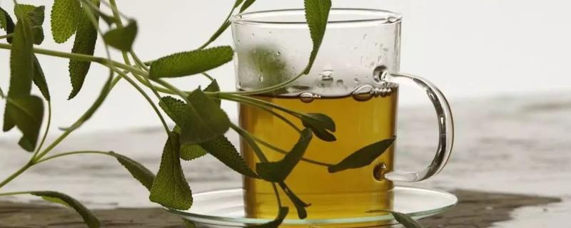 茶叶水可以浇花吗