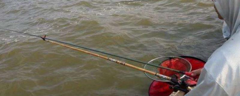 大风天为什么鱼不开口