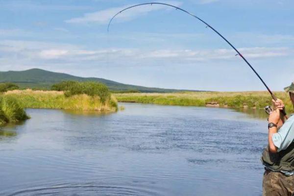 大风天为什么鱼不开口,水面温度变化导致鱼产生应激反应