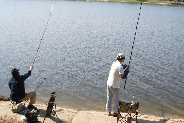 大风天为什么鱼不开口,水面温度变化导致鱼产生应激反应