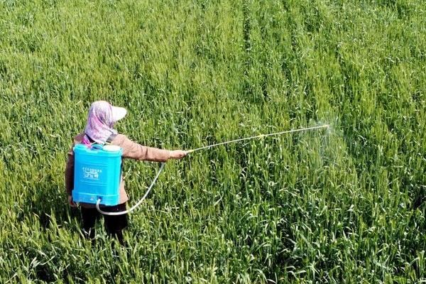 叶枯唑的作用,主要用来防治植物细菌性病害