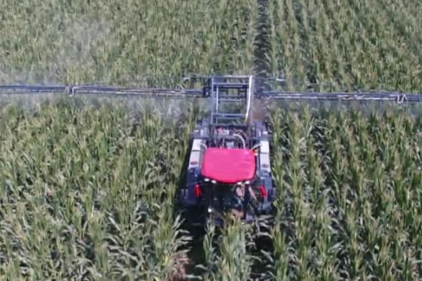 叶枯唑的作用,主要用来防治植物细菌性病害