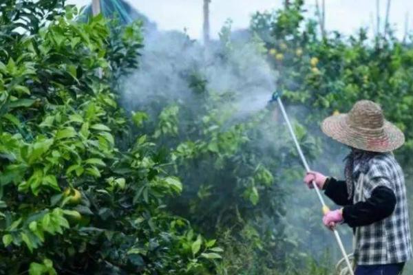 叶枯唑的作用,主要用来防治植物细菌性病害